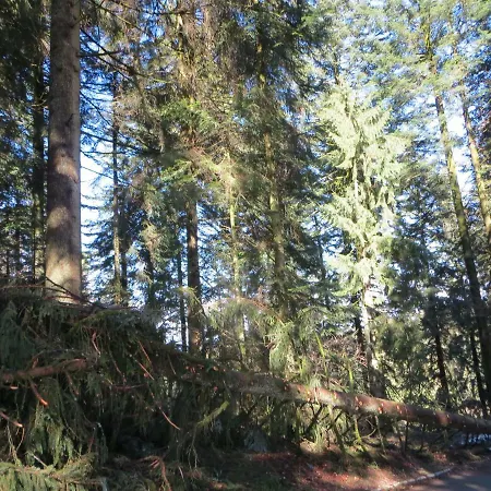 Bei Maly Sulzberg (Bregenz)