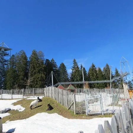 Bei Maly アパート